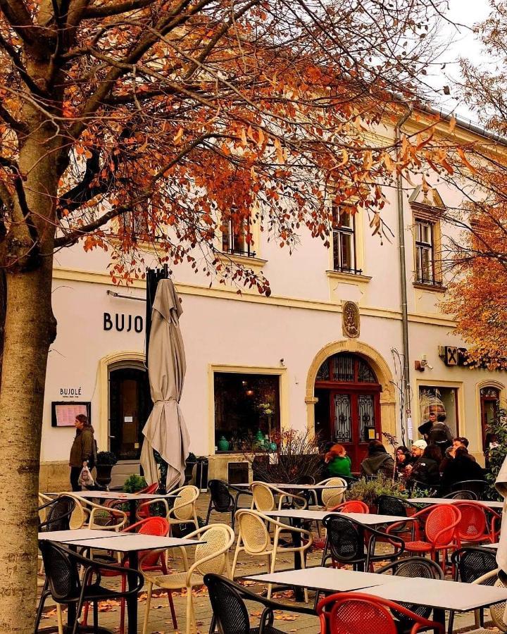 Aparthotel Ndl Downtown Cluj Exteriér fotografie