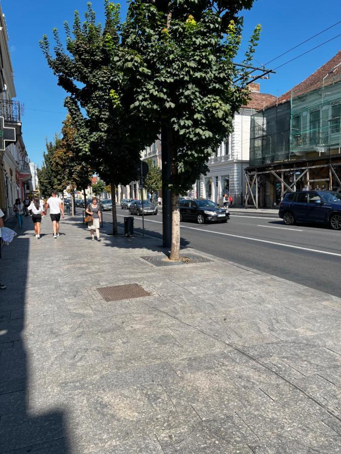 Aparthotel Ndl Downtown Cluj Exteriér fotografie